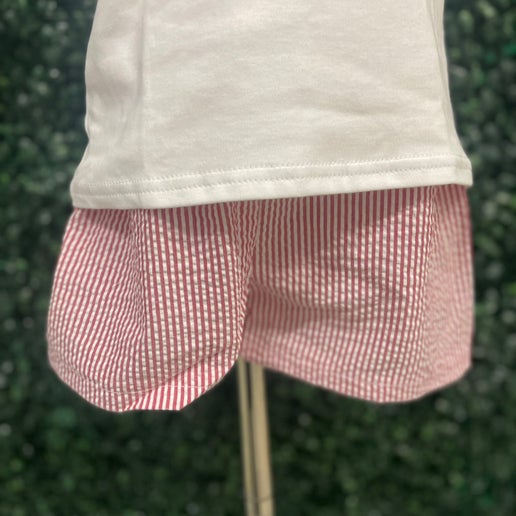Red Seersucker Shorts