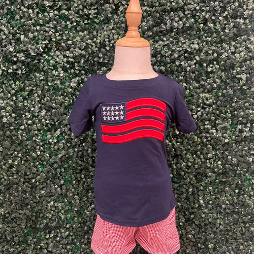 American flag embroidered short set